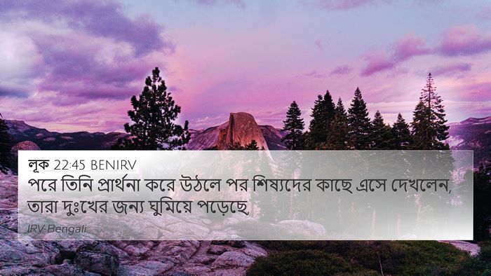 লূক 22:45 BENIRV Bible Verse Image