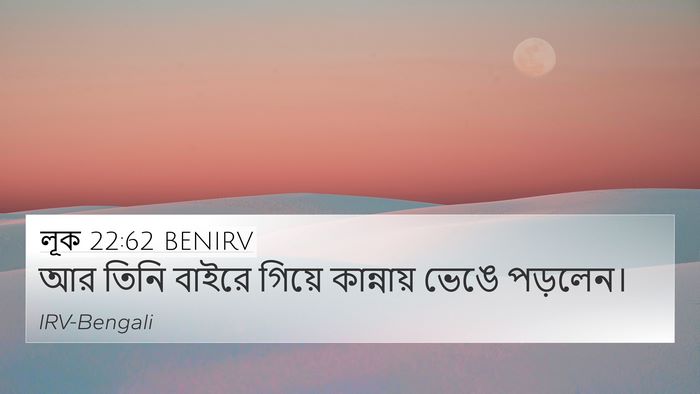 লূক 22:62 BENIRV Bible Verse Image