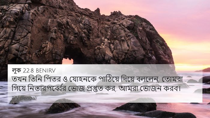 লূক 22:8 BENIRV 4K Wallpaper - তখন তিনি পিতর ও - 4K Wallpaper Bible Verse