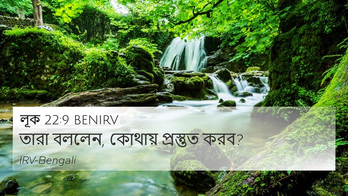 লূক 22:9 BENIRV 4K Wallpaper - তারা বললেন, কোথায় - 4K Wallpaper Bible Verse