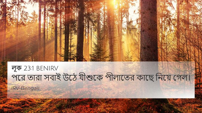 লূক 23:1 BENIRV Bible Verse Image