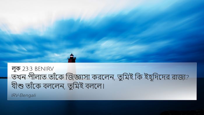 লূক 23:3 BENIRV Bible Verse Image