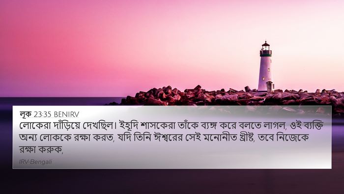 লূক 23:35 BENIRV Bible Verse Image