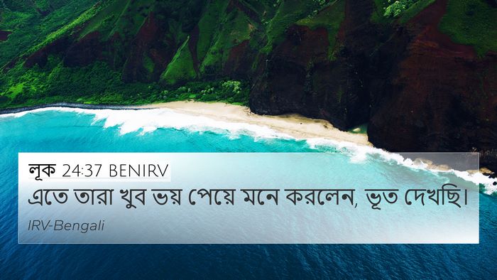 লূক 24:37 BENIRV Bible Verse Image