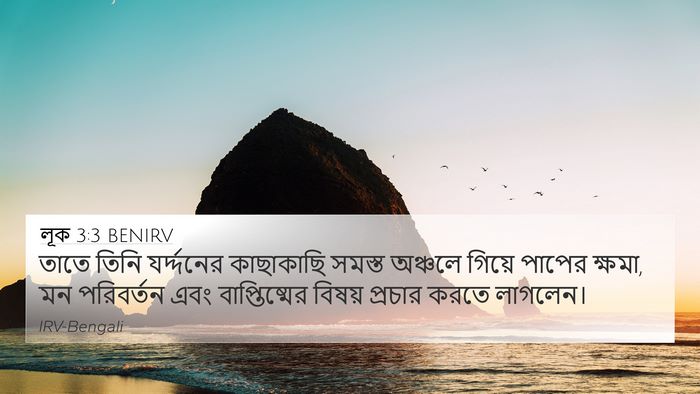 লূক 3:3 BENIRV Bible Verse Image