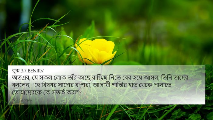 লূক 3:7 BENIRV Bible Verse Image
