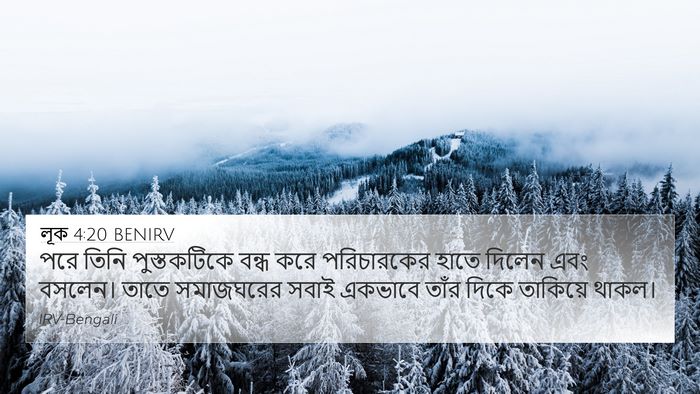 লূক 4:20 BENIRV Bible Verse Image
