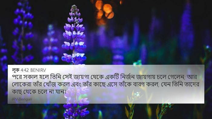 লূক 4:42 BENIRV Bible Verse Image