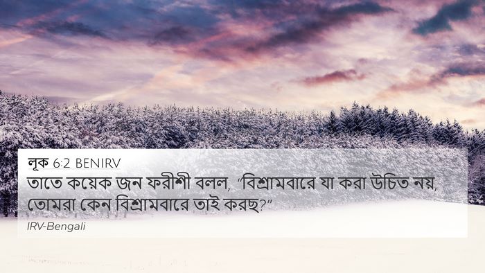 লূক 6:2 BENIRV 4K Wallpaper - তাতে কয়েক জন - 4K Wallpaper Bible Verse