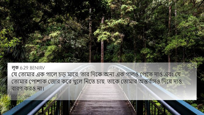 লূক 6:29 BENIRV Bible Verse Image
