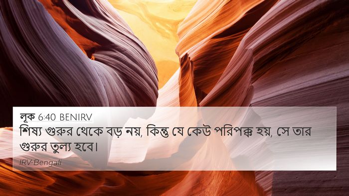 লূক 6:40 BENIRV Bible Verse Image