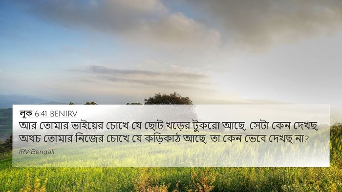 লূক 6:41 BENIRV Bible Verse Image