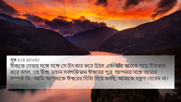 লূক 8:28 BENIRV Bible Verse Image