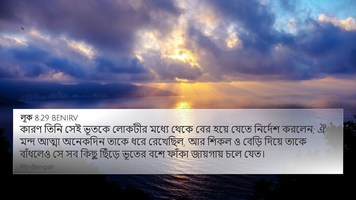 লূক 8:29 BENIRV Bible Verse Image