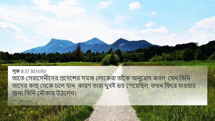 লূক 8:37 BENIRV Bible Verse Image