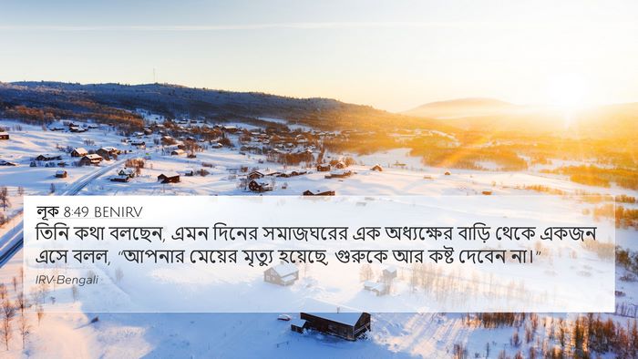 লূক 8:49 BENIRV Bible Verse Image