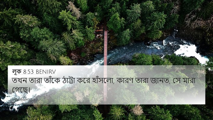 লূক 8:53 BENIRV Bible Verse Image