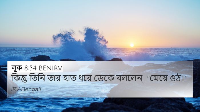 লূক 8:54 BENIRV Bible Verse Image