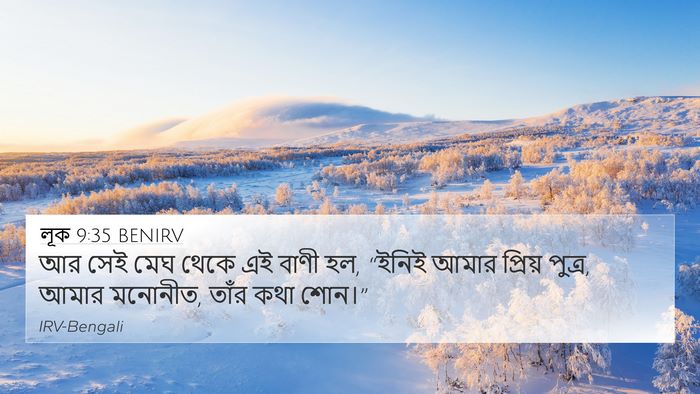 লূক 9:35 BENIRV Bible Verse Image