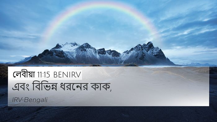 লেবীয়া 11:15 BENIRV 4K Wallpaper - এবং বিভিন্ন ধরনের - 4K Wallpaper Bible Verse