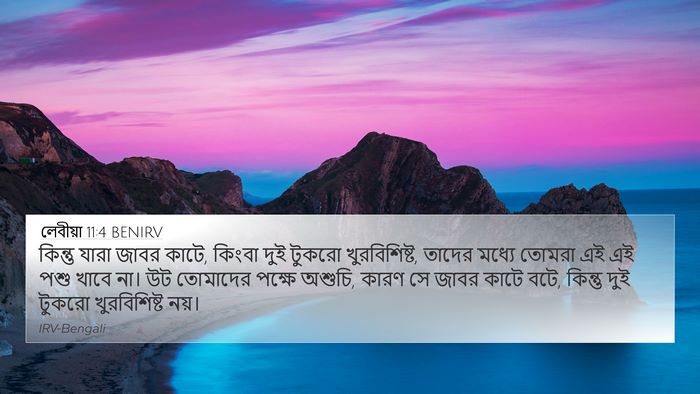 লেবীয়া 11:4 BENIRV 4K Wallpaper - কিন্তু যারা জাবর - 4K Wallpaper Bible Verse