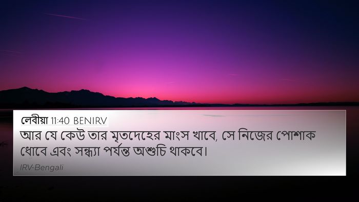 লেবীয়া 11:40 BENIRV Bible Verse Image