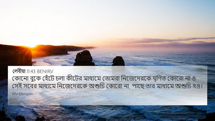 লেবীয়া 11:43 BENIRV Bible Verse Image