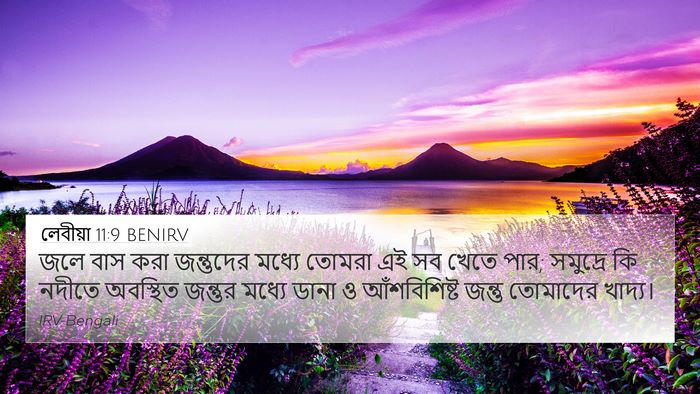 লেবীয়া 11:9 BENIRV 4K Wallpaper - জলে বাস করা - 4K Wallpaper Bible Verse