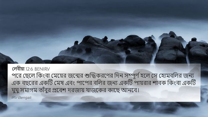 লেবীয়া 12:6 BENIRV Bible Verse Image