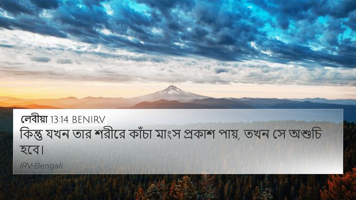 লেবীয়া 13:14 BENIRV Bible Verse Image