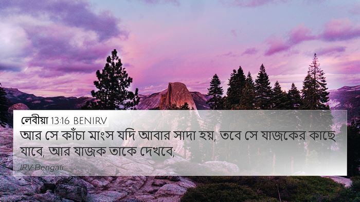 লেবীয়া 13:16 BENIRV 4K Wallpaper - আর সে কাঁচা মাংস - 4K Wallpaper Bible Verse