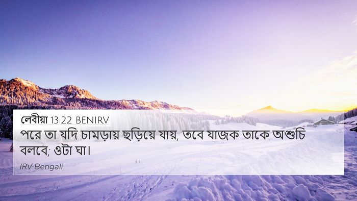 লেবীয়া 13:22 BENIRV 4K Wallpaper - পরে তা যদি - 4K Wallpaper Bible Verse