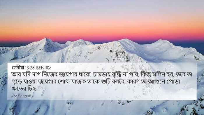 লেবীয়া 13:28 BENIRV 4K Wallpaper - আর যদি দাগ নিজের - 4K Wallpaper Bible Verse