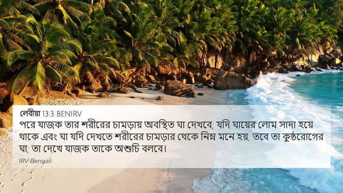 লেবীয়া 13:3 BENIRV 4K Wallpaper - পরে যাজক তার - 4K Wallpaper Bible Verse