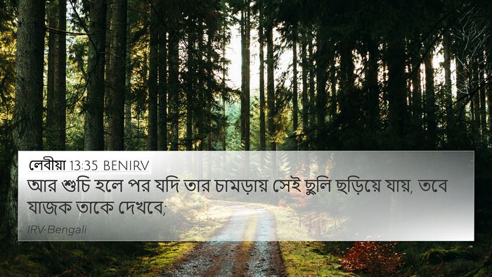 লেবীয়া 13:35 BENIRV Bible Verse Image
