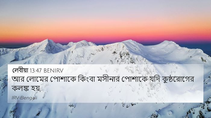 লেবীয়া 13:47 BENIRV 4K Wallpaper - আর লোমের পোশাকে - 4K Wallpaper Bible Verse
