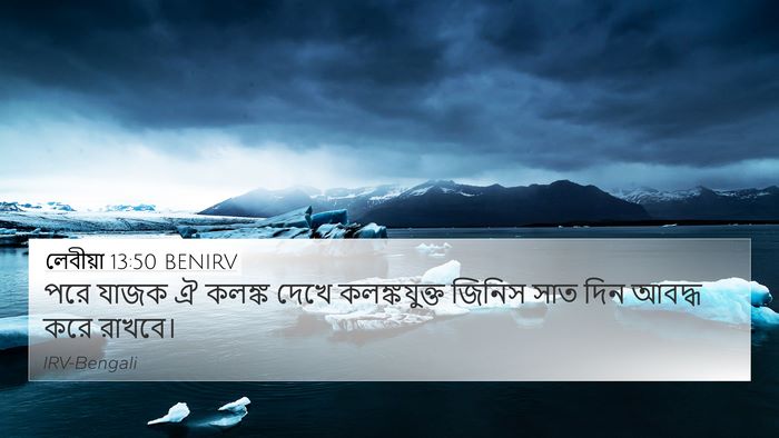 লেবীয়া 13:50 BENIRV 4K Wallpaper - পরে যাজক ঐ কলঙ্ক - 4K Wallpaper Bible Verse