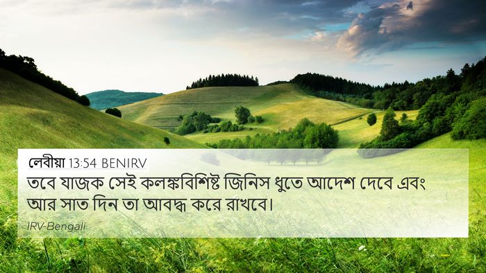 লেবীয়া 13:54 BENIRV 4K Wallpaper - তবে যাজক সেই - 4K Wallpaper Bible Verse