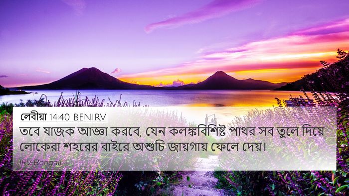 লেবীয়া 14:40 BENIRV Bible Verse Image