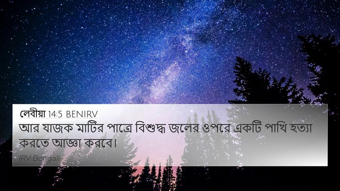 লেবীয়া 14:5 BENIRV 4K Wallpaper - আর যাজক মাটির - 4K Wallpaper Bible Verse