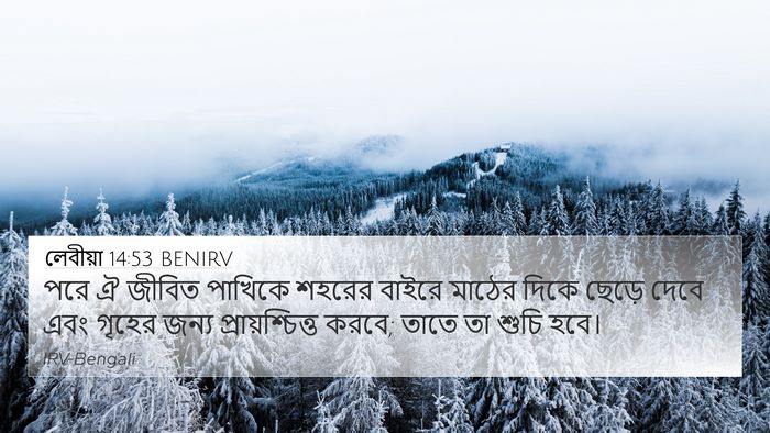 লেবীয়া 14:53 BENIRV 4K Wallpaper - পরে ঐ জীবিত পাখিকে - 4K Wallpaper Bible Verse