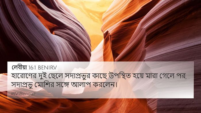 লেবীয়া 16:1 BENIRV 4K Wallpaper - হারোণের দুই ছেলে - 4K Wallpaper Bible Verse