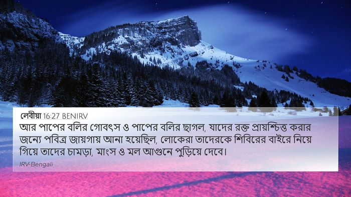 লেবীয়া 16:27 BENIRV Bible Verse Image