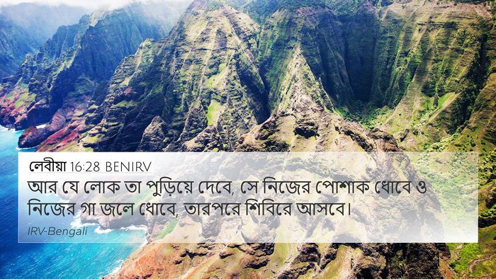 লেবীয়া 16:28 BENIRV Bible Verse Image