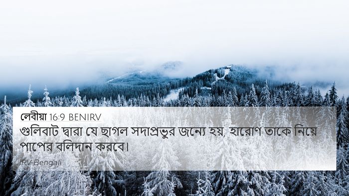 লেবীয়া 16:9 BENIRV 4K Wallpaper - গুলিবাট দ্বারা যে - 4K Wallpaper Bible Verse