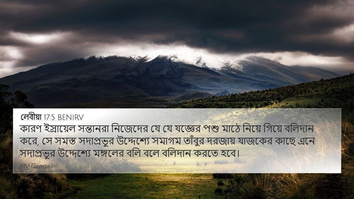 লেবীয়া 17:5 BENIRV 4K Wallpaper - কারণ ইস্রায়েল - 4K Wallpaper Bible Verse