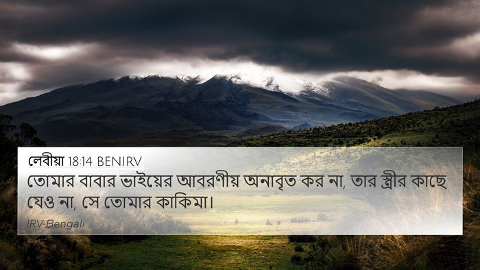 লেবীয়া 18:14 BENIRV Bible Verse Image