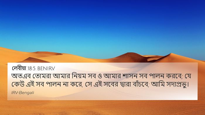 লেবীয়া 18:5 BENIRV Bible Verse Image