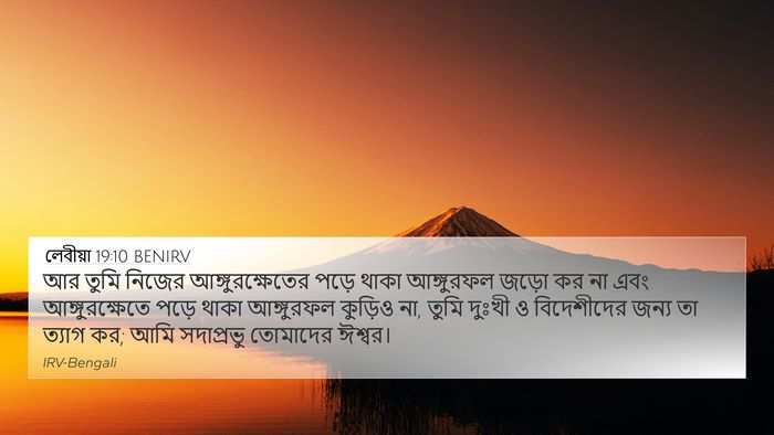 লেবীয়া 19:10 BENIRV Bible Verse Image