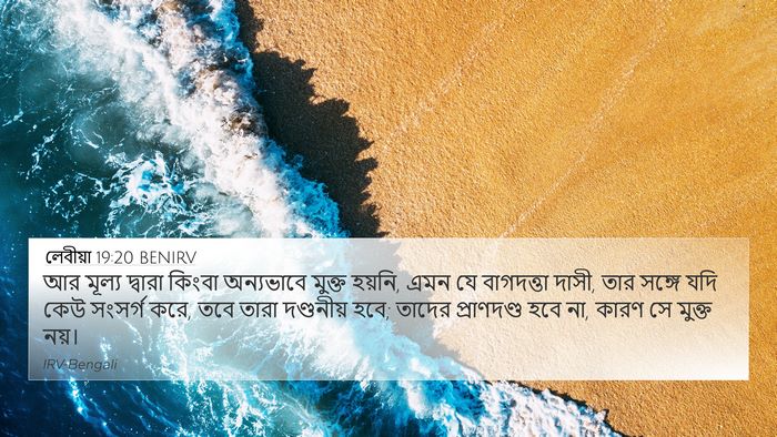 লেবীয়া 19:20 BENIRV 4K Wallpaper - আর মূল্য দ্বারা - 4K Wallpaper Bible Verse